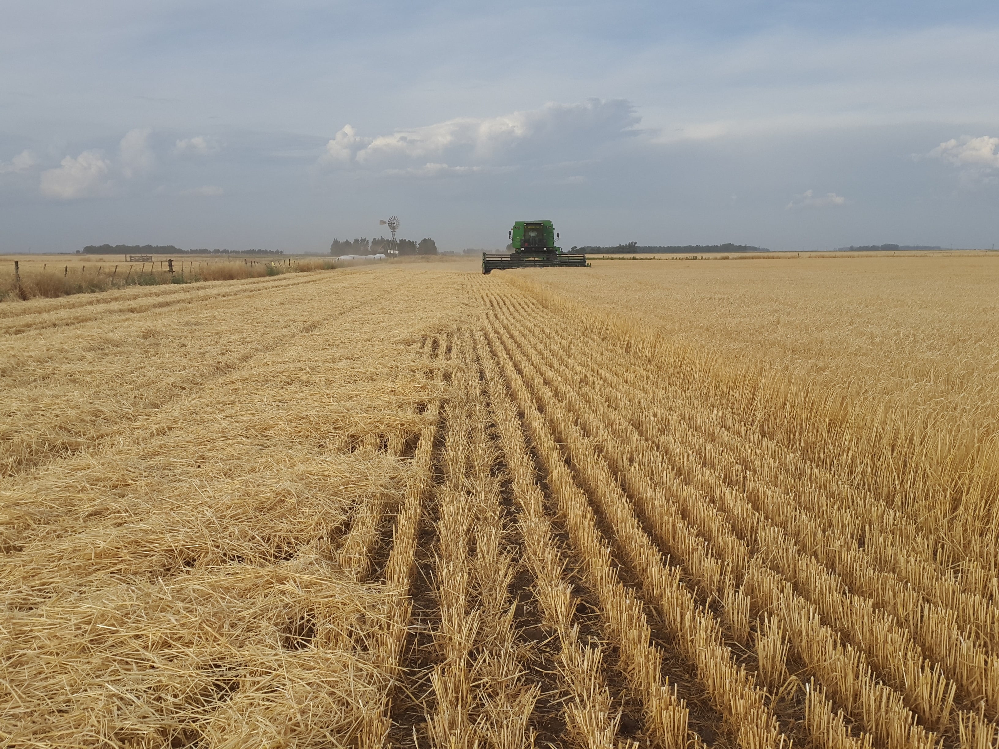 Agro paulista acumula superávit de US$ 8,37 bilhões nos primeiros cinco meses de 2026